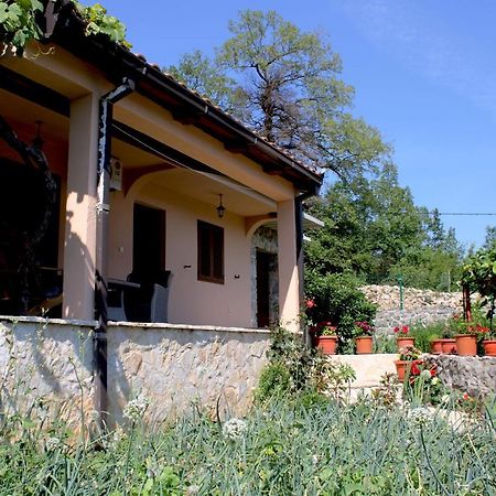 Holiday Home Gazevic Virpazar Buitenkant foto