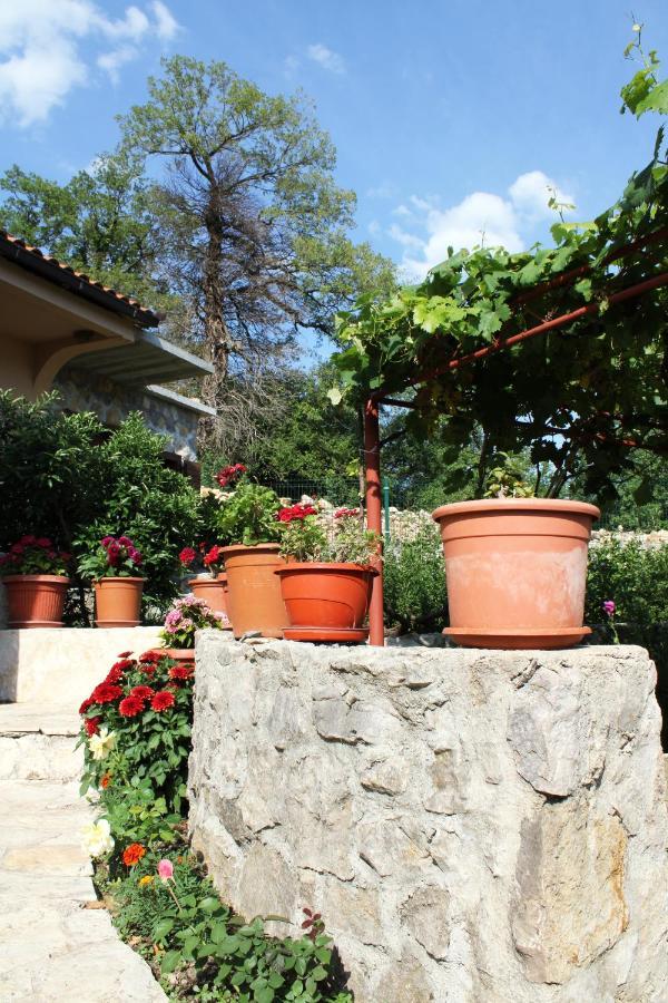 Holiday Home Gazevic Virpazar Buitenkant foto