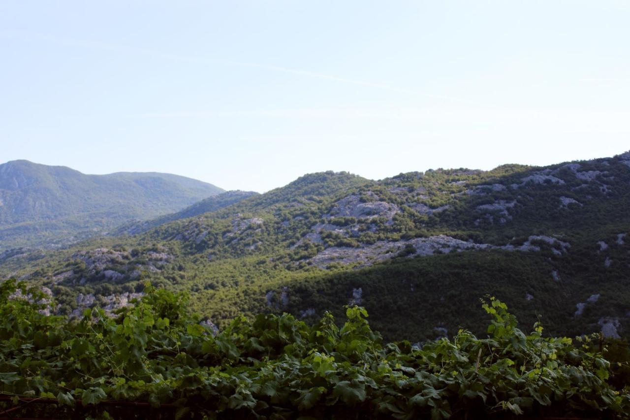 Holiday Home Gazevic Virpazar Buitenkant foto