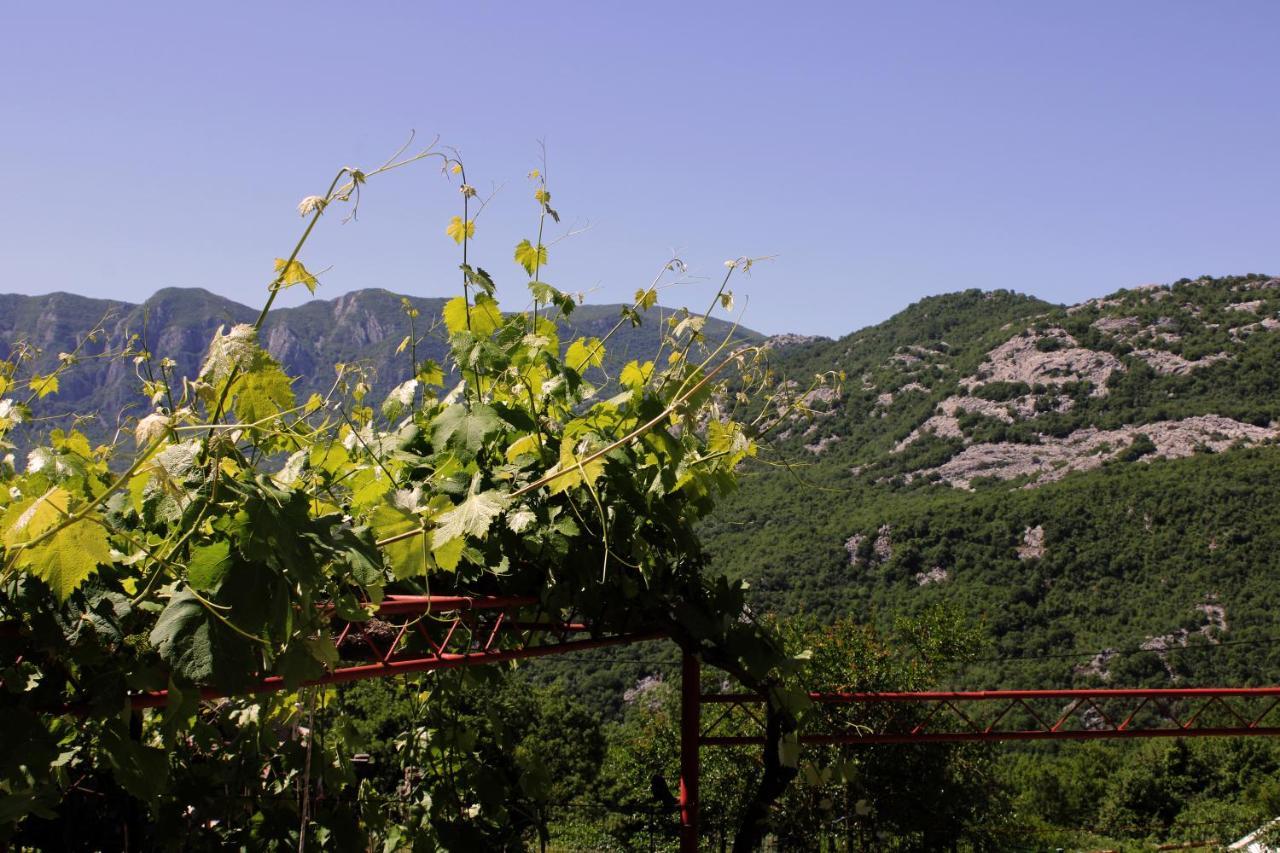 Holiday Home Gazevic Virpazar Buitenkant foto