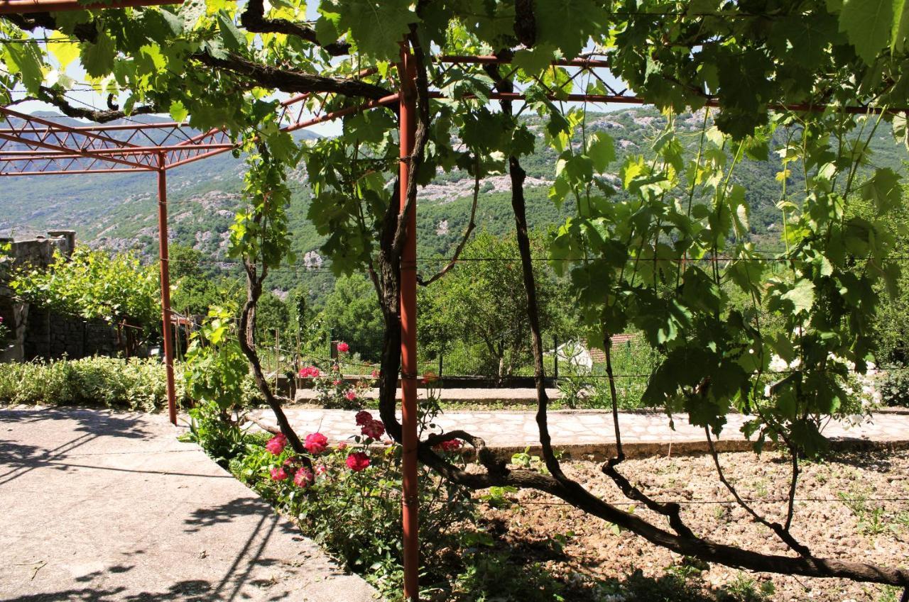 Holiday Home Gazevic Virpazar Buitenkant foto